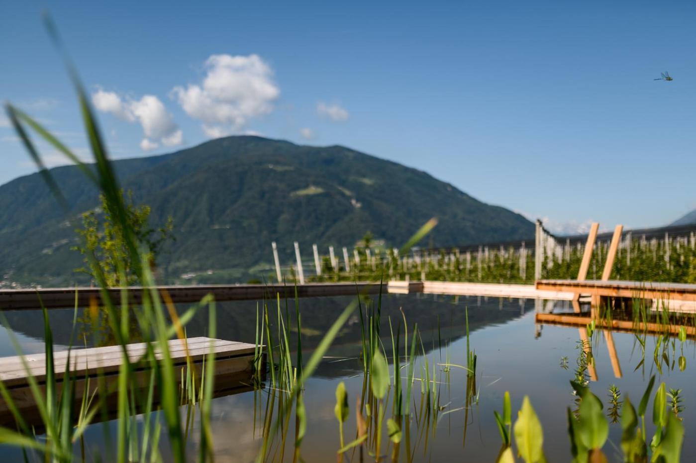Pataunerhof Tirol Buitenkant foto