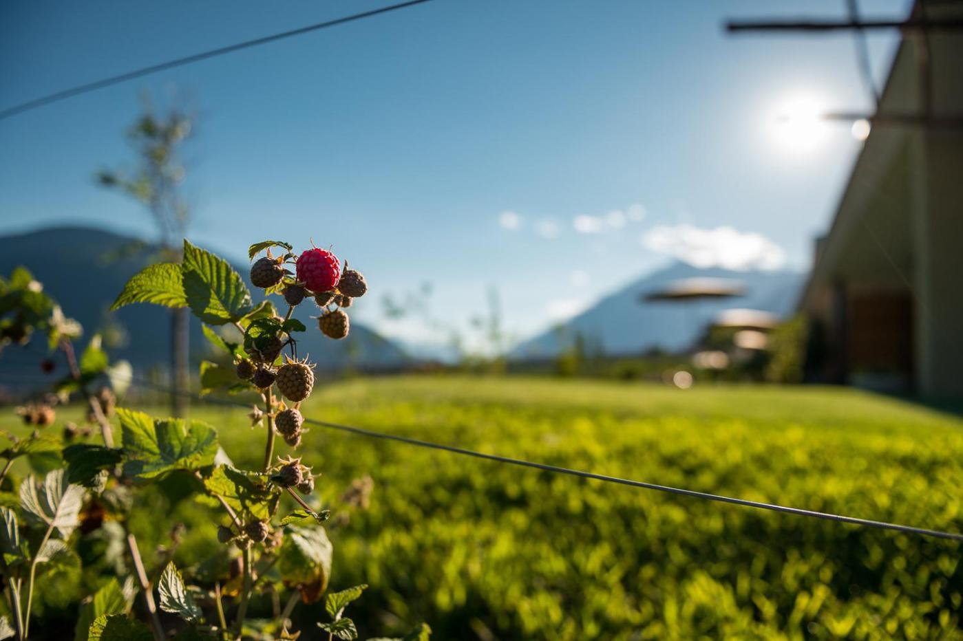 Pataunerhof Tirol Buitenkant foto